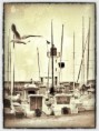 /album/travail-photo-graphique/a19-re-ete-2012-jpg/
